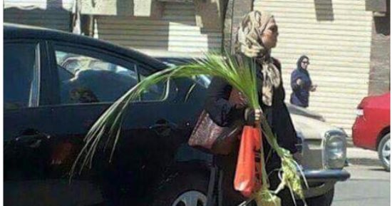 وزير الشباب والرياضة ينشر صورة فتاة مسلمة تحمل جريد النخيل بأحد الزعف