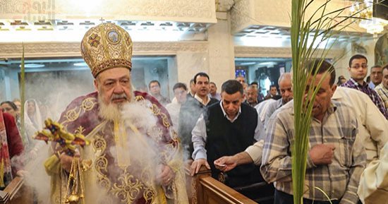 قداس أحد السعف بكنائس مصر 