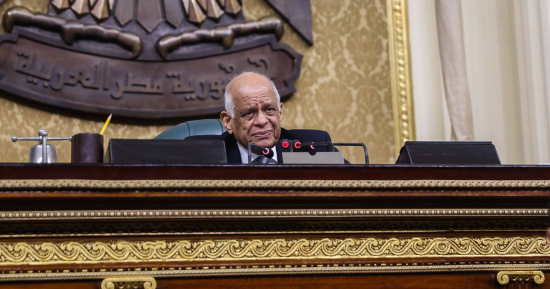 صور.. نواب البرلمان يشيدون بقانون "الأعلى لمكافحة الإرهاب"