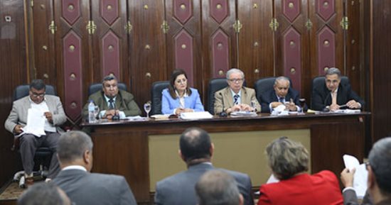 هيئة البترول: نستهدف توصيل الغاز الطبيعى لمليون و300 ألف وحدة سكنية خلال عام