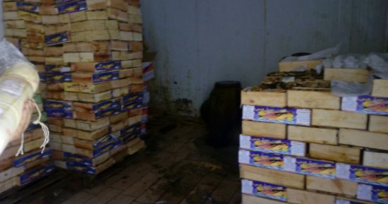 ضبط 3.5 طن رنجة وأسماك فاسدة بمصنع غير مرخص بالخانكة