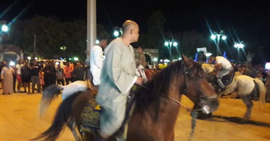 صور.. نائبان بالأقصر يحتفلان بفوز الرئيس السيسى على ظهر الخيول 