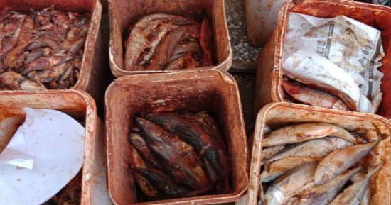 الطب البيطرى بالجيزة يضبط 15 طن فسيخ فاسد بالعياط.. صور
