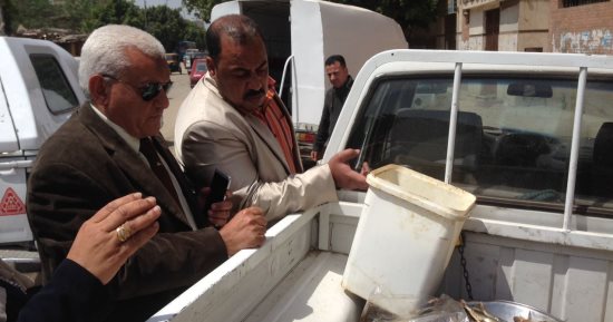 ضبط 11 طن دواجن وأسماك غير صالحة للاستخدام الآدمى فى حملة بشبرا الخيمة