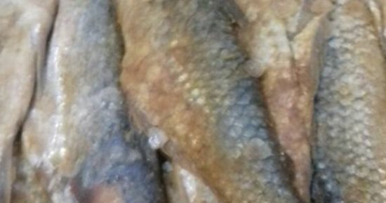 صور.. ضبط كمية من الفسيخ والسلع الغذائية منتهية الصلاحية فى حملة بالأقصر