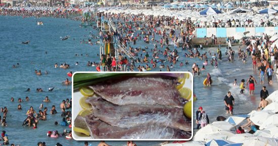 صور.. استعدادات مكثفة لاستقبال شم النسيم والمصطافين بالمحافظات الساحلية.. الإسكندرية تستعد بـ40 شاطىء مجانى وسياحى.. وتوصيل الغاز الطبيعى لأول مرة بمدينة مطروح.. وتكثيف أعداد المنقذين على الشواطئ بالبحر الأحمر 