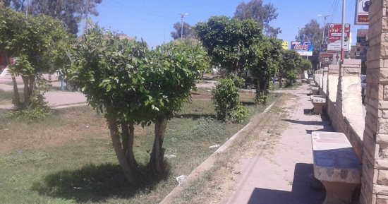 صور .. إزالة ورد النيل وتجميل حديقة العائلات بفوه استعدادا لشم النسيم