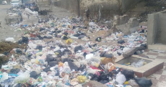 صور.. قارئ يشكو من تراكم القمامة أمام مدرسة طارق بن زياد بالدويقة
