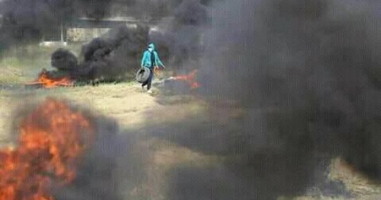 الصحة الفلسطينية: ارتفاع عدد المصابين برصاص الاحتلال لـ40 بينهم صحفى