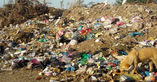 صور.. اضبط مخالفة.. القمامة تحاصر المنازل والطرق السريعة فى بنى سويف
