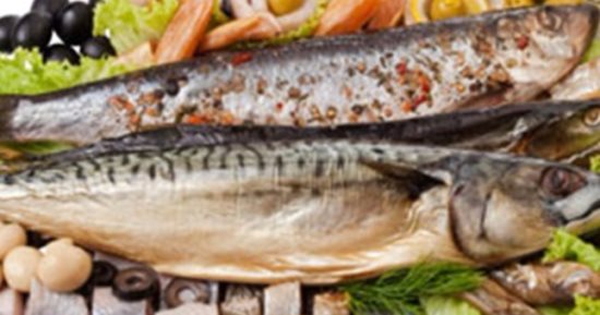 ضبط 4 أطنان فسيخ ورنجة غير صالحة للاستخدام الآدمى بمصنع فى شبرا الخيمة
