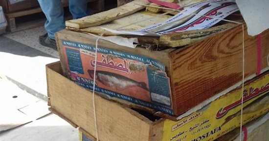صور.. ضبط 300 كيلو أسماك مملحة غير صالحة للاستخدام الآدمى بكفر الشيخ