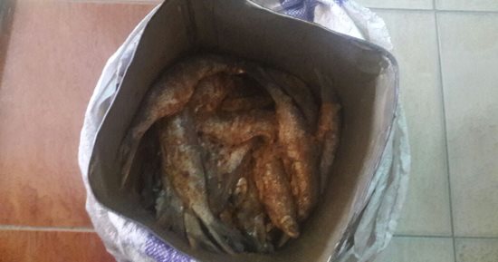 ضبط فسيخ فاسد بسوق الأحد فى السويس