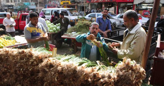 صورة اليوم.. يا ورد "شم النسيم" مين يشتريك