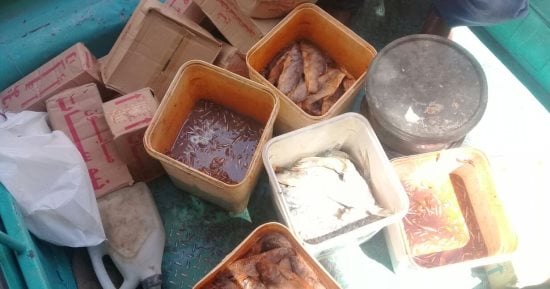 ضبط فسيخ وسلع غذائية منتهية الصلاحية فى الأقصر