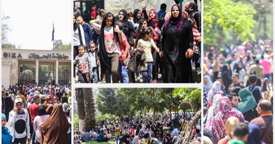 "العيد فرحة".. 9 حدائق للحيوان تفتح أبوابها أمام الزوار.. "حيوان الجيزة" تستقبل زائريها بعروض جديدة لـ25 أسد وبانورما للولادات الحديثة.. عرض للدب الروسى عنتر وحسونة وسبع البحر "اللمبى وجاميكا" والفيلة "نعيمة"