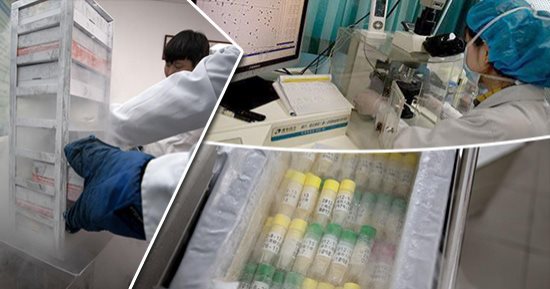 الولاء للوطن يبدأ من الرحم فقط فى الصين.. بنوك الحيوانات المنوية تشترط الإيمان بـ"الشيوعية" لقبول التبرعات.. 900 دولار لتحفيز المتبرعين.. ونشطاء يسخرون: لم يتعلموا الأحياء.. والصفات المكتسبة لا تورث