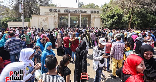 المواطنون يفترشون الأرض بحديقة الحيوان ويتناولون الفسيخ (صور)