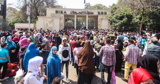 دواوين الوزارات × 24 ساعة.. 430 ألف زائر لحدائق الحيوان فى شم النسيم