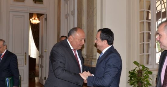 المتحدث باسم الخارجية ينشر صور لقاء وزير الخارجية المصرى بنظيره القبرصى