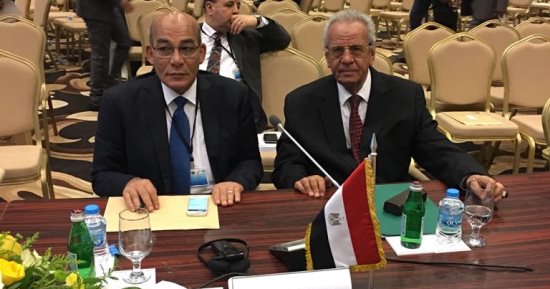 وزير الزراعة: التنسيق العربى ضرورى لتحقيق التكامل الزراعى وتأمين الغذاء
