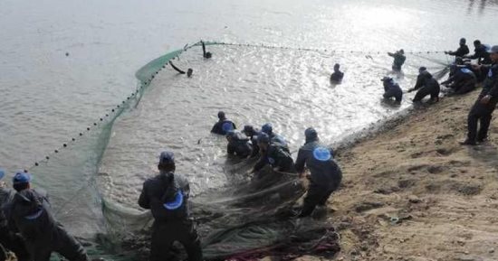 ‫تعرف على ترتيب مصر العالمى فى الاستزراع السمكي