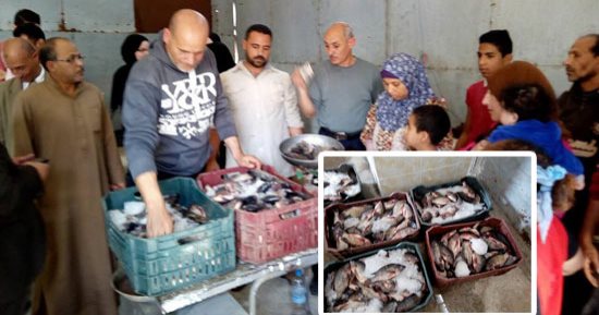 صور.. "نقى وكل بالتسعيرة".. زحام على "بلطى" غليون والأسماك لا تباع خارج منافذ المحافظة.. الأهالى: السعر رخيص وأسماك مضمونة ومتغذية على أعلاف.. محافظ كفر الشيخ: طرح 100 طن يوميا لتلبية احتياج السوق