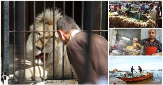 حكايات الشارع فى أسبوع.. الصيد صبر وتعب وفرحة.. يا محلى عيشة الفلاح وروقان باله.. فى شم النسيم "يا بصل مين يشتريك".. والطعمية ضيف دائم على الطبلية المصرية.. وعلاقة الحارس والحيوان رحلة عطاء ووفاء