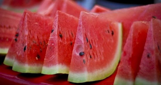 يوسف القاضى يكتب: البطيخ.. غذاء ودواء وفوائد أخرى 