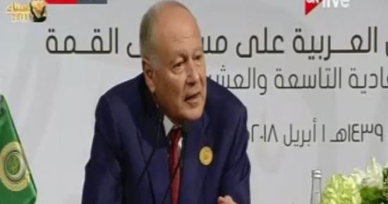 فيديو.. "أبو الغيط": قرارات قمة القدس تعكس الاستراتيجية المشتركة للدول العربية