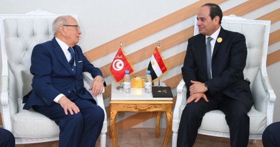 الرئيس التونسى يشيد باستعادة مصر لدورها الرائد والفعّال على الصعيد الإقليمى