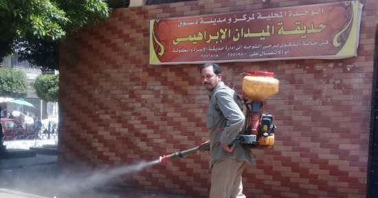 صور.. خطة لمكافحة الحشرات الطائرة بالتعاون مع الإدارة الصحية بدسوق