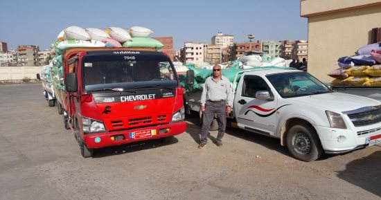 صور.. 25 منفذاً بكفر الشيخ يستقبل 477 طناً من القمح