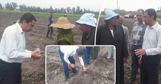 بشرة خير.. مشروع قومى جديد ينطلق من الشرقية.. زراعة محصول "اليقطين" لأول مرة فى مصر.. الفدان يحقق أرباحا للمزارع تصل لـ60 ألف جنيه.. زراعته تستغرق 5 أشهر.. والحكومة تطبقه بـ4 محافظات الأربعاء المقبل.. صور
