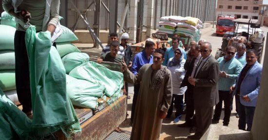 محافظ القليوبية يتفقد استلام الصوامع لمحصول القمح