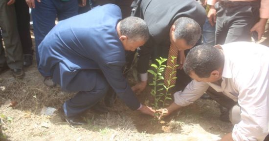 صور.. فرق كشافة فى كفر الشيخ تنظم حملة لزراعة الأشجار