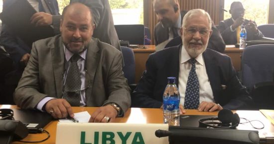 صور.. وزير خارجية ليبيا يرحب بجهود الاتحاد الأفريقى لحل أزمة بلاده