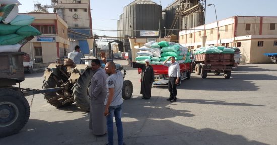 تموين كفر الشيخ : توريد 2563 طناً و453 كيلو قمح للصوامع والشون من المزراعين