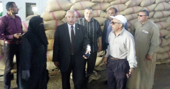 توريد 256 طن قمح بشون بلقاس بالدقهلية حتى الآن