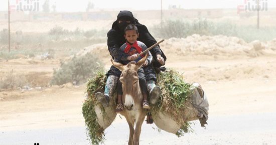صورة اليوم.. عيون أم ولا بتنام