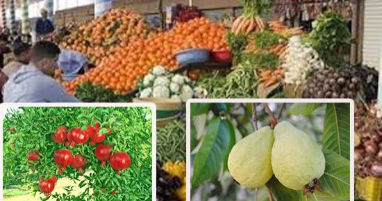 أسعار الفاكهة اليوم.. انخفاض أسعار البرتقال والكيلو يبدأ من 1.5 جنيه