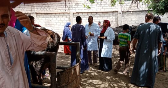 ‫الزراعة تنظم قافلة بيطرية مجانية بمحافظة سوهاج ضمن "حياة كريمة"