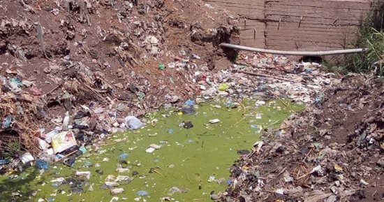 قارئ يطالب بتغطية مصرف عزبة الجميزة فى بهناى بالمنوفية حفاظا على الأهالى