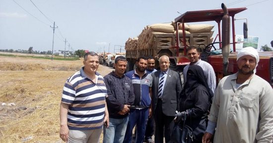 صور.. طوابير للمزارعين لتوريد القمح للشون بالدقهلية