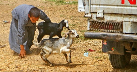 صورة اليوم.. اركض يا ولدى خلفها فالأحلام لا تنتظر طويلا