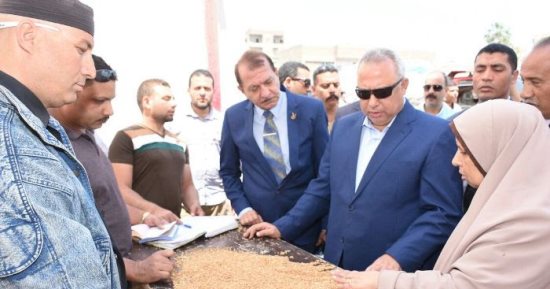صور .. محافظ الشرقية : توريد 103 ألف طن قمح من المزارعين للصوامع