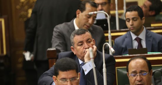 صور.. مجلس النواب يوافق على مشروع الحكومة بتعديل قانون الزراعة مبدئيا