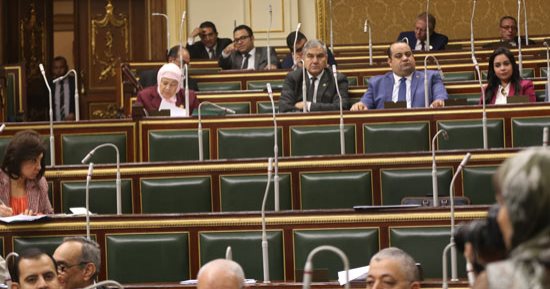 6 معلومات عن تعديل قانون الزراعة عقب موافقة البرلمان عليه.. تعرف عليها