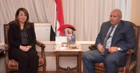 وزيرة التضامن تبحث مع محافط الوادى الجديد مناقشة إجراءات الحماية وتطوير الحضانات