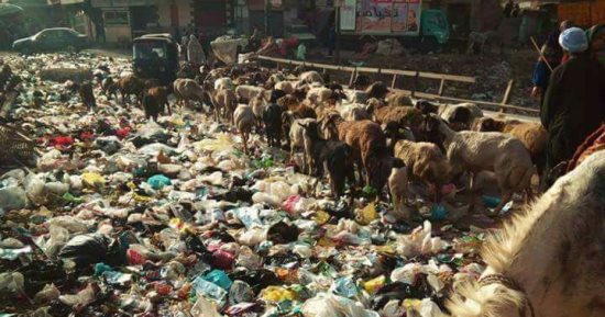 القمامة تغزو كوبرى ميت نما بالقليوبية وآلاف المواطنين يعانون منها يوميا